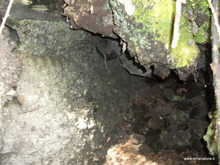 rderia-18-11-2012 12-01-53